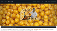 Desktop Screenshot of narlikuyulokmacisi.com